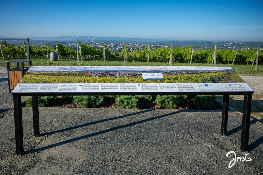 Panoráma